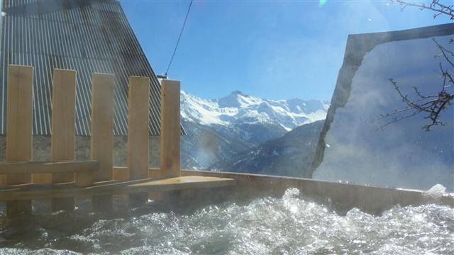 Option led + jacuzzi pour bain nordique