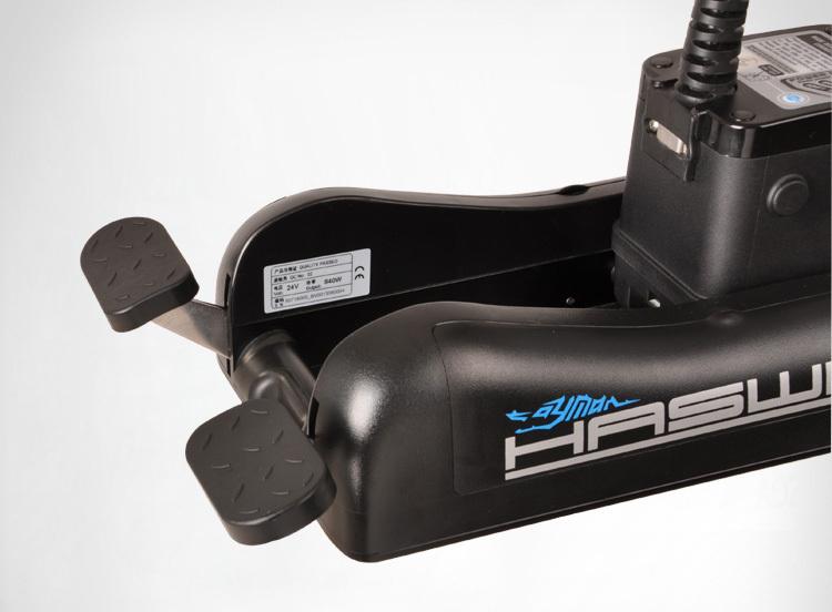 Cayman moteur électrique Haswing