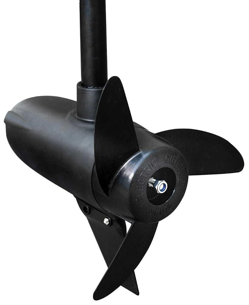 Eco Booster 2.0 115 lbs 12 V moteur électrique