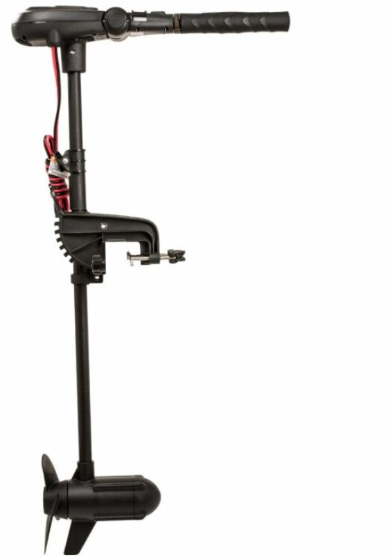 Moteur électrique Haswing Protruar