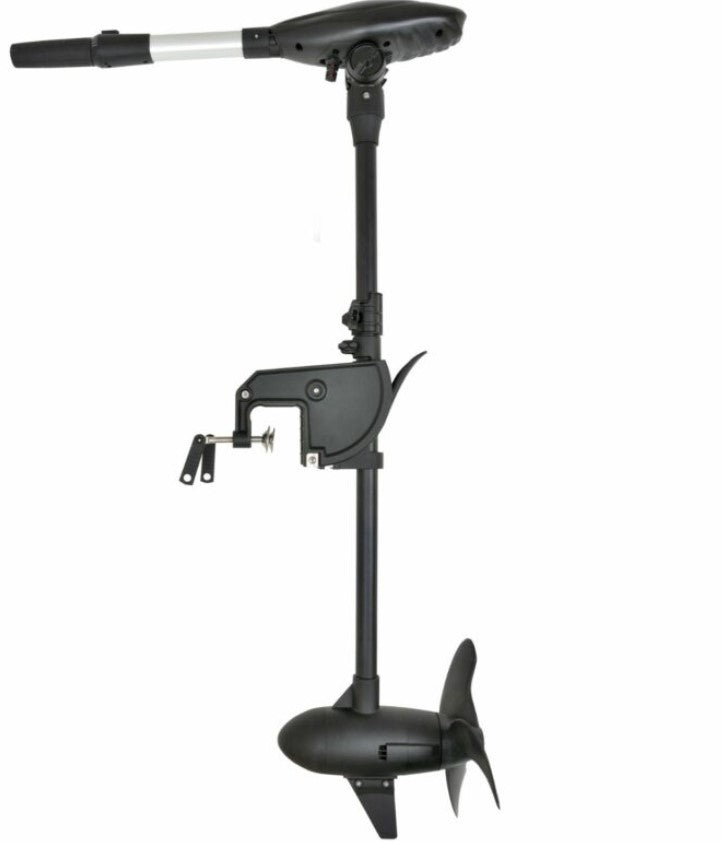 Moteur électrique Haswing Protruar