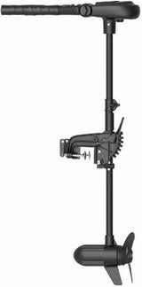 Moteur électrique Haswing Protruar