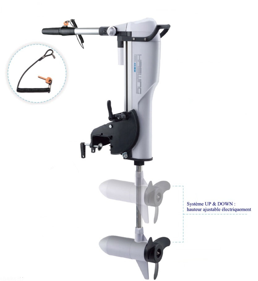 Moteur Electrique Haswing Comax