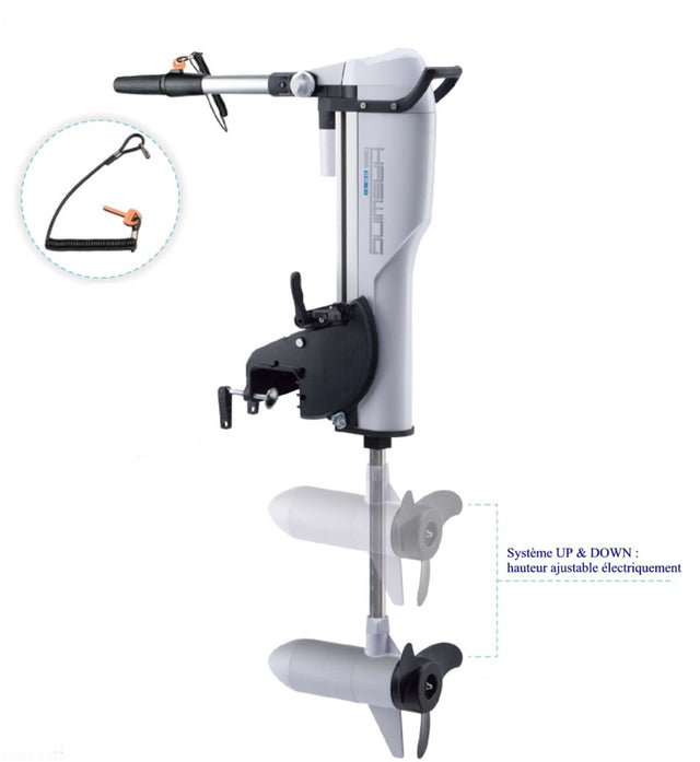 Moteur Electrique Haswing Comax