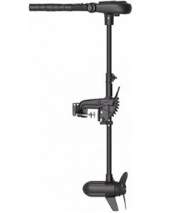 Moteur électrique Haswing Protruar