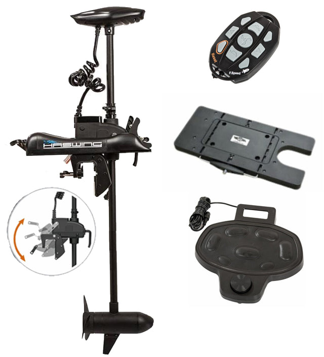 Cayman moteur électrique Haswing