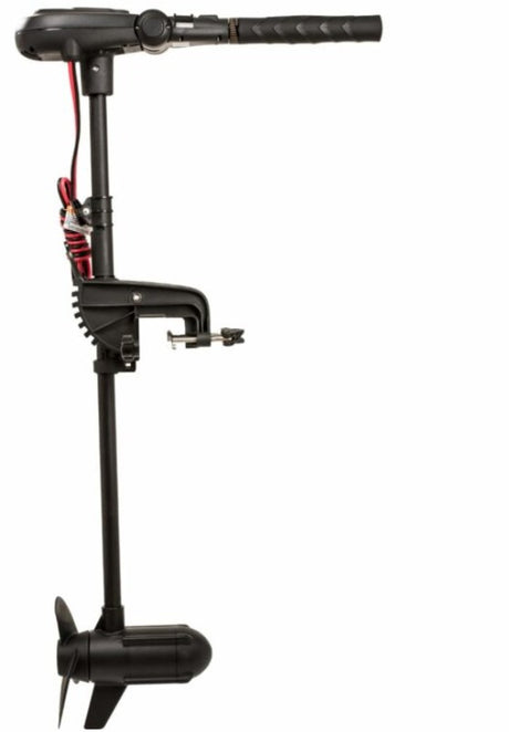 Moteur électrique Haswing Protruar