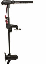 Moteur électrique Haswing Protruar