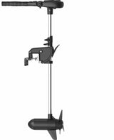 Moteur électrique Haswing Protruar