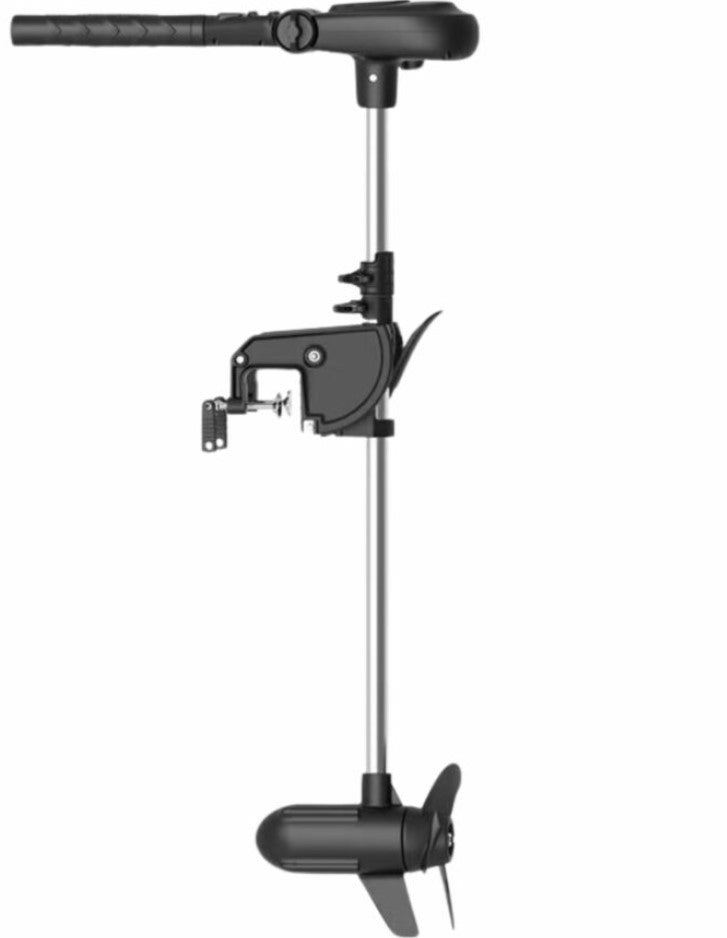Moteur électrique Haswing Protruar