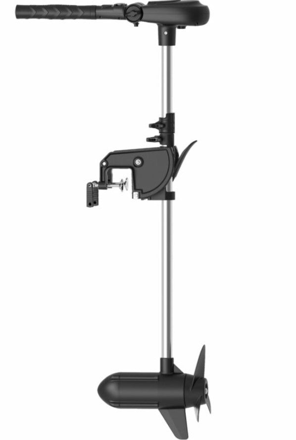 Moteur électrique Haswing Protruar