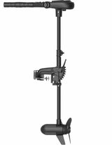 Moteur électrique Haswing Protruar