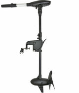 Moteur électrique Haswing Protruar