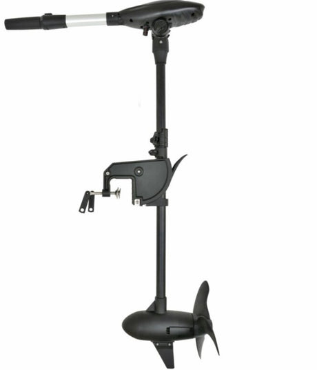 Moteur électrique Haswing Protruar