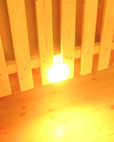 Option LED pour bain nordique