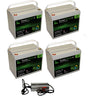 Pack 4 batteries lithium 100 Ah Powerbrick + chargeur 48V