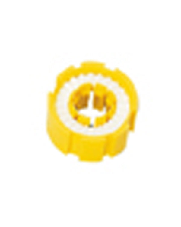 Pastille de sel seule