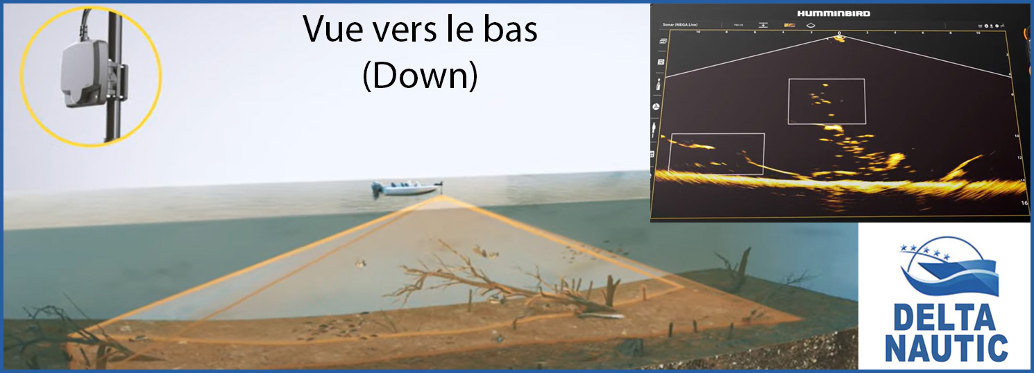 vue vers le bas de la sonde Mega Live Imaging