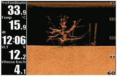 Down imaging Sondeur Humminbird